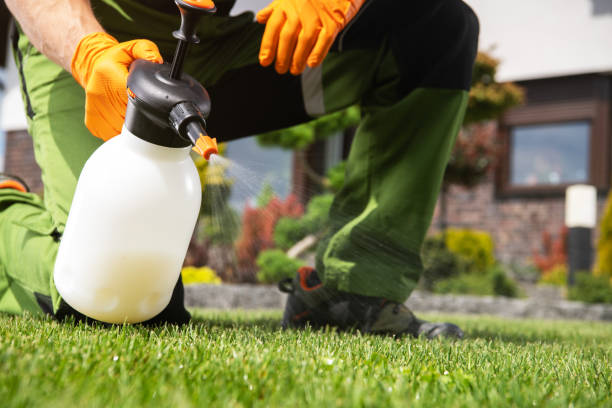 Best Rat Extermination Near Me  in Riverside, MD