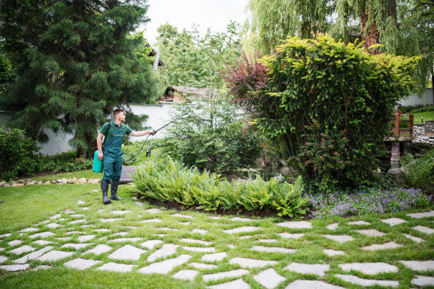 Best Mosquito Control Services  in Riverside, MD