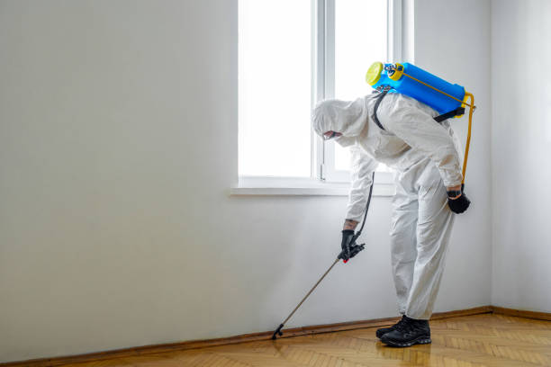 Best Pest Control for Homes  in Riverside, MD