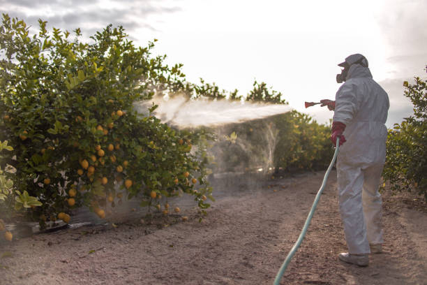 Best Wasp Removal Services  in Riverside, MD