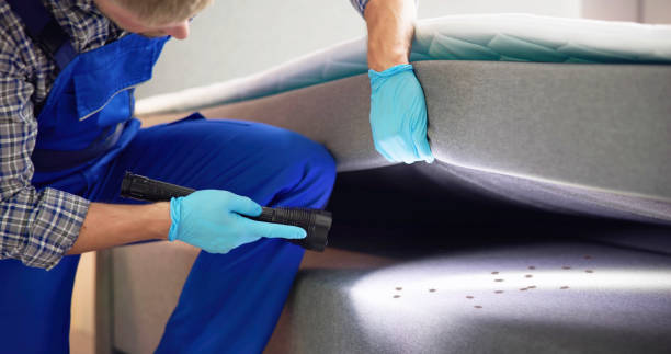 Best Residential Pest Control  in Riverside, MD