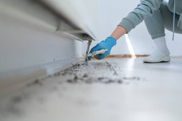 Best Best Pest Control Companies  in Riverside, MD